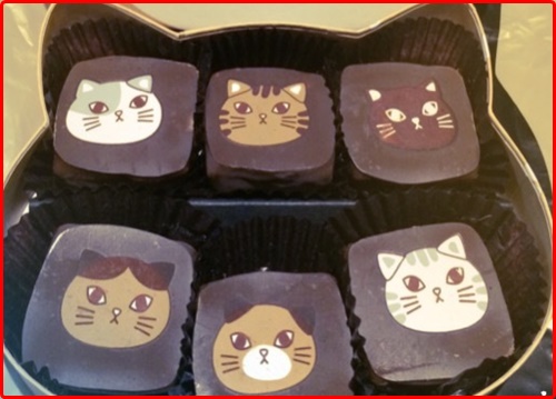 パース 操る ラフレシアアルノルディ バレンタイン チョコ 猫 2019 