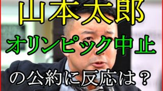 山本太郎が東京五輪を中止にする公約は都知事選で有利に働くか調査！